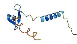 DEFB115 3D structure