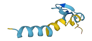 DEFB114 3D structure
