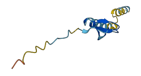 DEFB113 3D structure