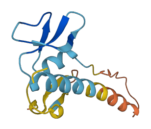 DEFB112 3D structure