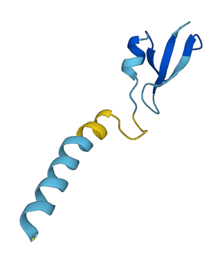 DEFB110 3D structure