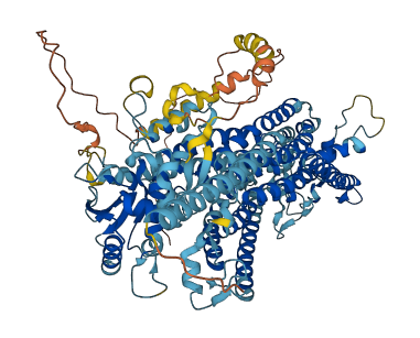 ANO4 3D structure