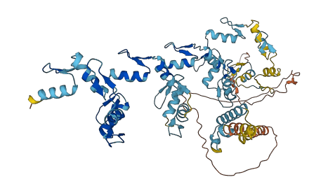 ZNF699 3D structure