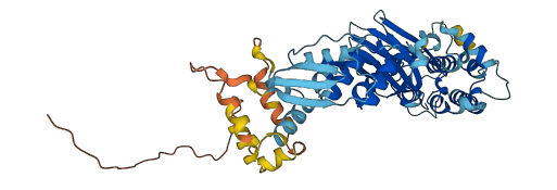 BTBD16 3D structure