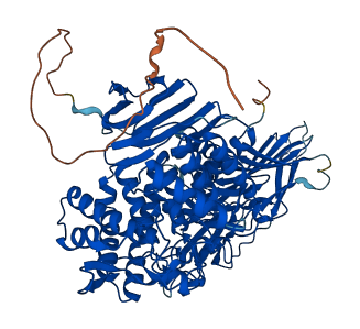 PGGHG 3D structure