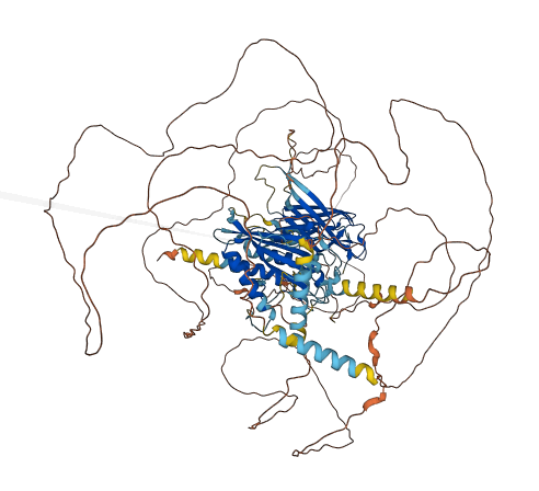 FAM214A 3D structure