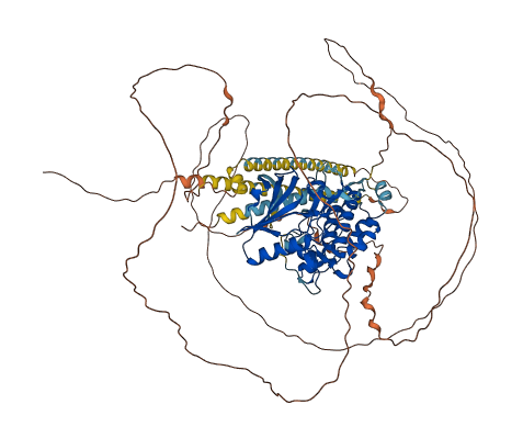 MYLK3 3D structure
