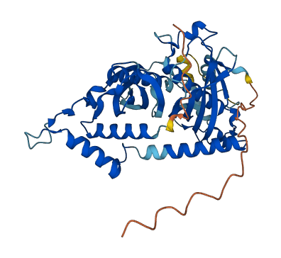 Acot10 3D structure