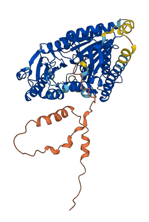 PGS1 3D structure