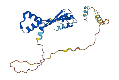 C18orf21 3D structure