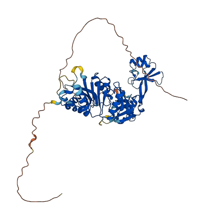 TRMT5 3D structure