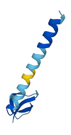 Defb33 3D structure
