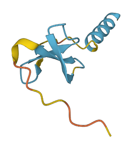 Defb25 3D structure