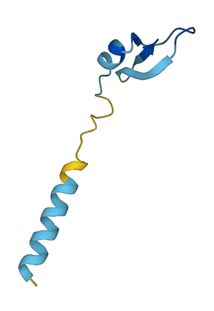 Defb17 3D structure