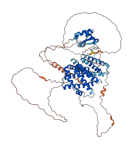 RFX4 3D structure