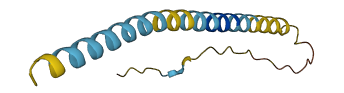 SMIM21 3D structure