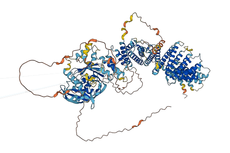 EDRF1 3D structure