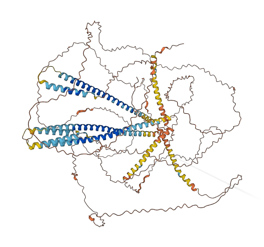NBPF1 3D structure