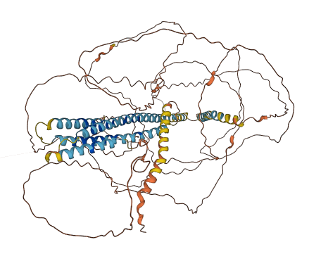 NBPF8 3D structure