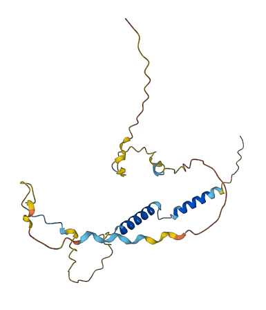 C11orf91 3D structure