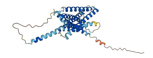 Mrgprb2 3D structure
