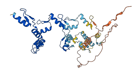 ZNF829 3D structure
