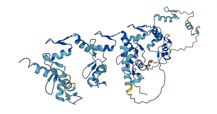 ZNF791 3D structure