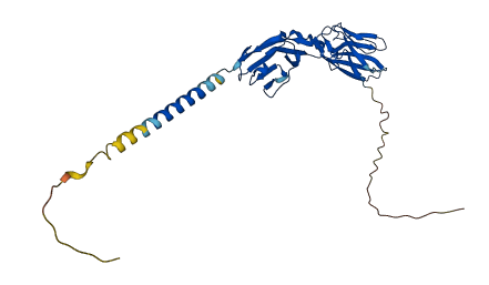 CEACAM21 3D structure