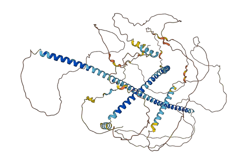 MAP7D1 3D structure