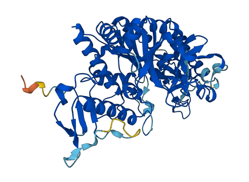 UAP1L1 3D structure