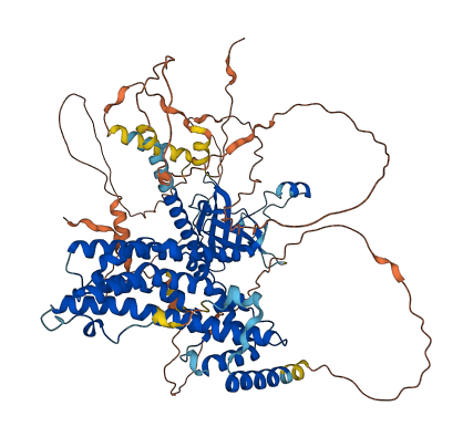 PLEKHG6 3D structure