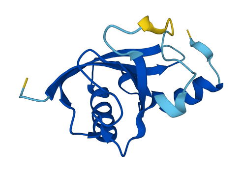 C2orf76 3D structure
