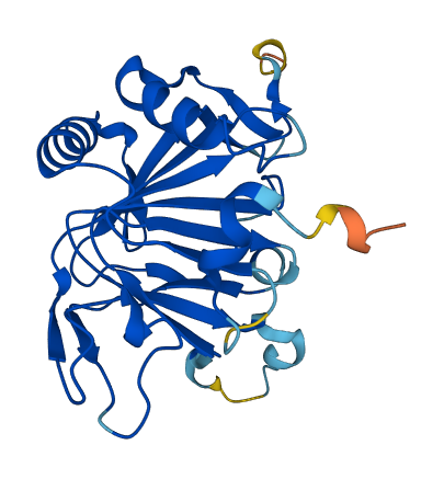 ALKBH6 3D structure