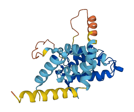 ARHGAP11B 3D structure