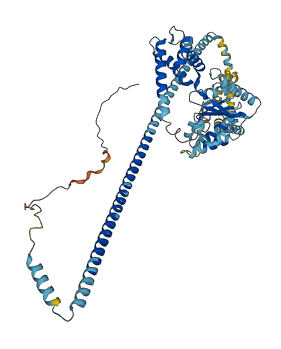 Atad3 3D structure