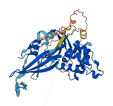 USP41 3D structure