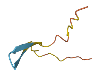 KRTAP20-4 3D structure