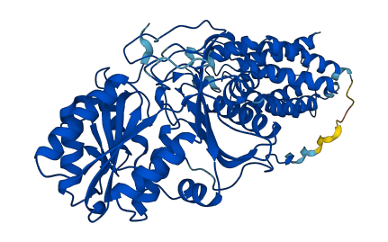 TKFC 3D structure