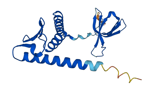 LSM12 3D structure