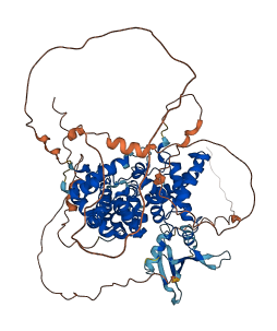 TBC1D25 3D structure