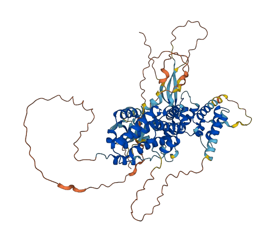 RGL3 3D structure