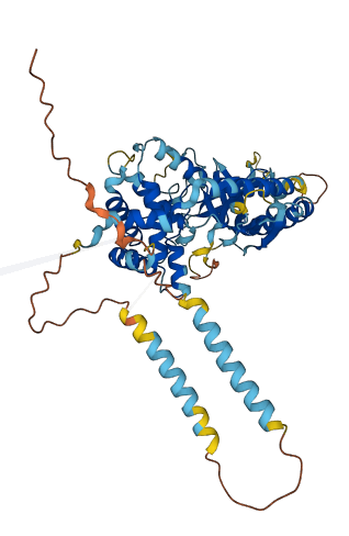ITPRIPL2 3D structure