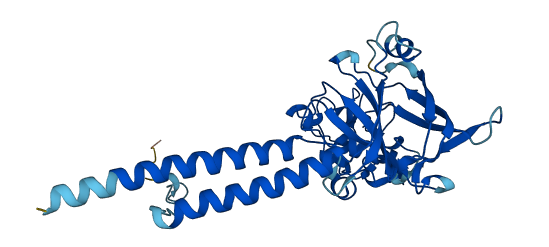 TMEM30B 3D structure