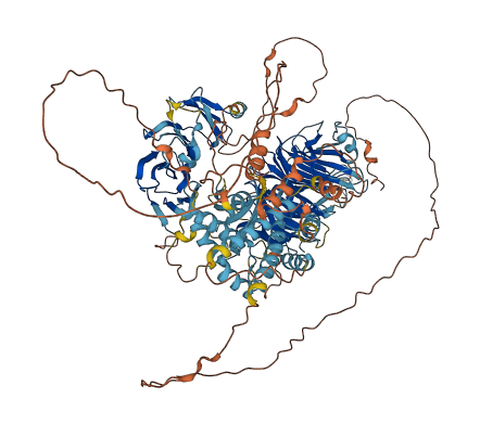 WDR72 3D structure