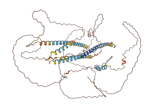 CCDC144B 3D structure