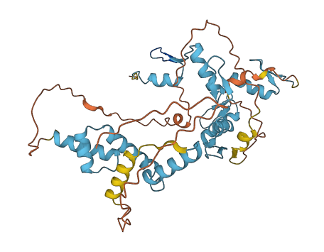 ZSCAN23 3D structure