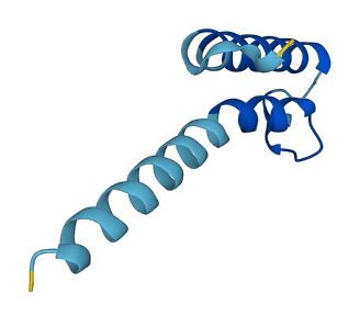 PIGY 3D structure
