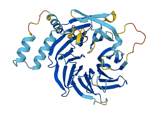 DCAF4L1 3D structure