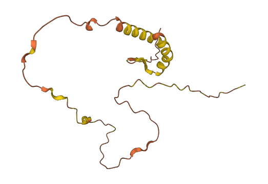 C3orf36 3D structure