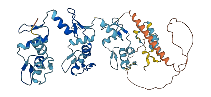 ZNF718 3D structure